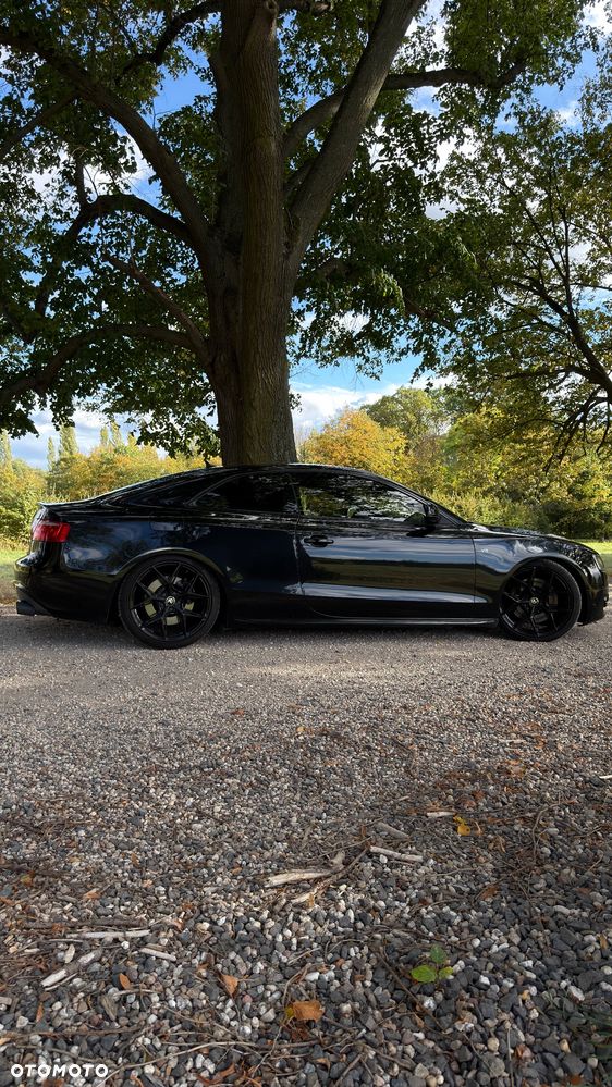 Audi S5 2008 photo 4