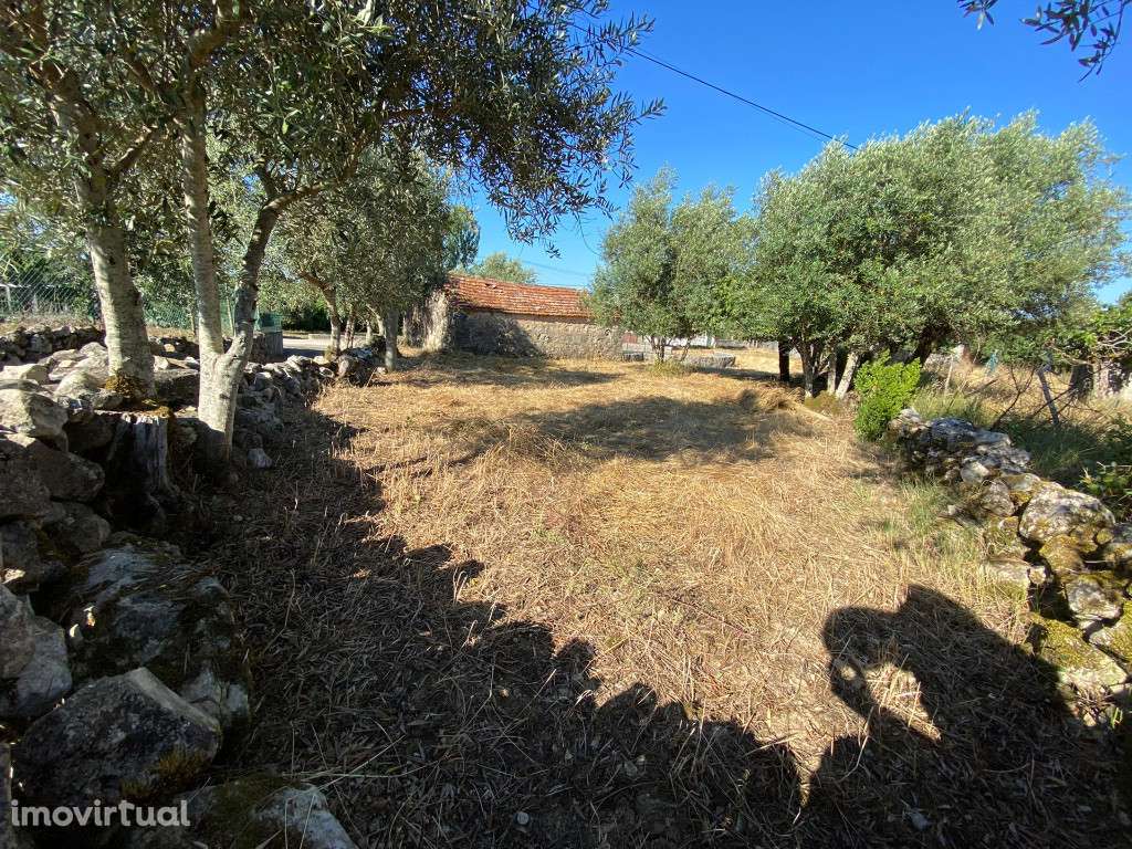 Venda Terreno - Grande imagem: 2/6