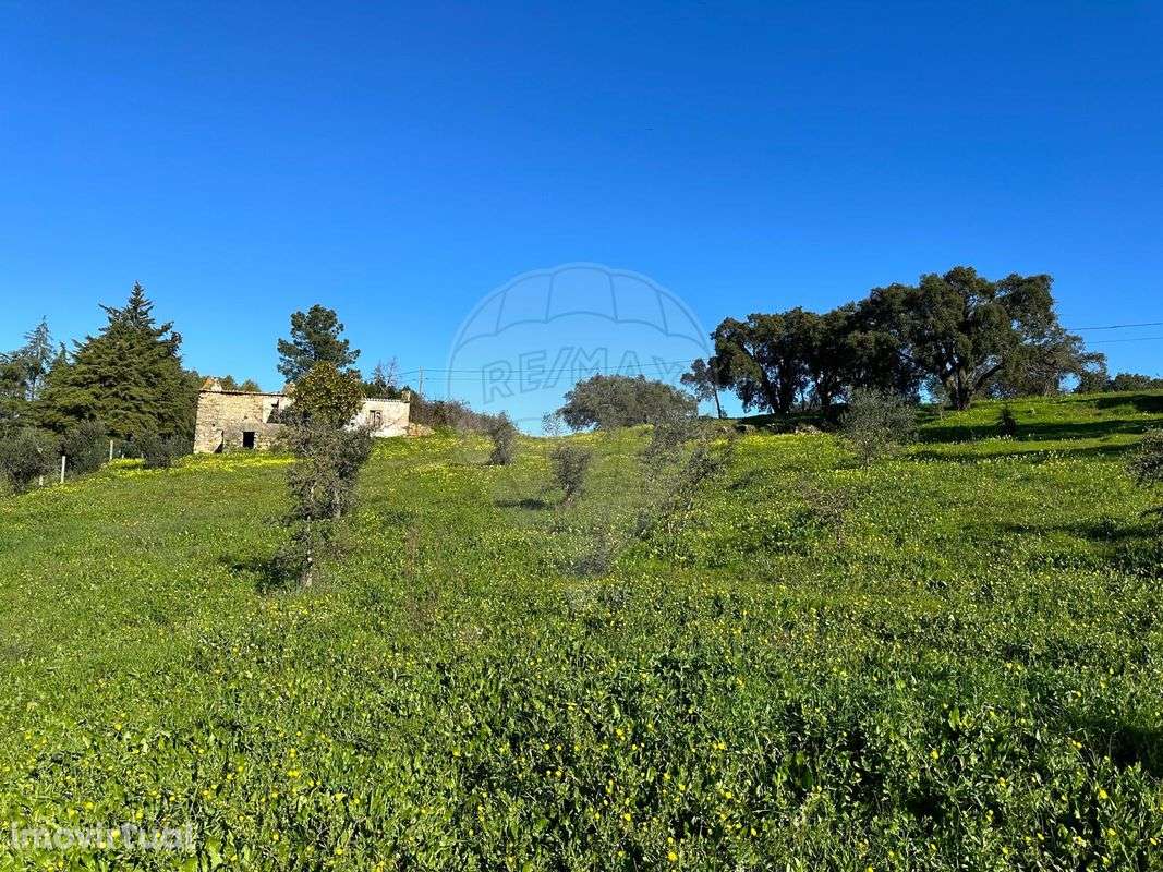 Terreno  para venda - Grande imagem: 3/9