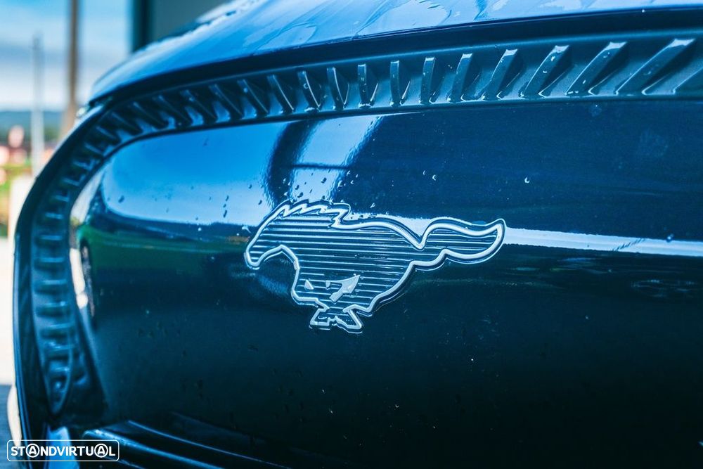 Ford Mustang Mach-E - 7