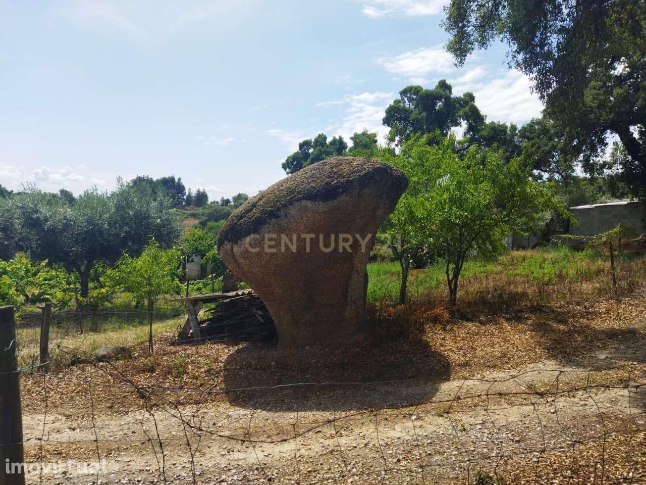 Terreno rústico | Lousa CTB, Castelo Branco - Grande imagem: 3/28