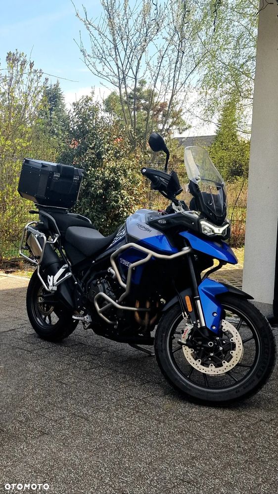 Triumph Tiger - 1