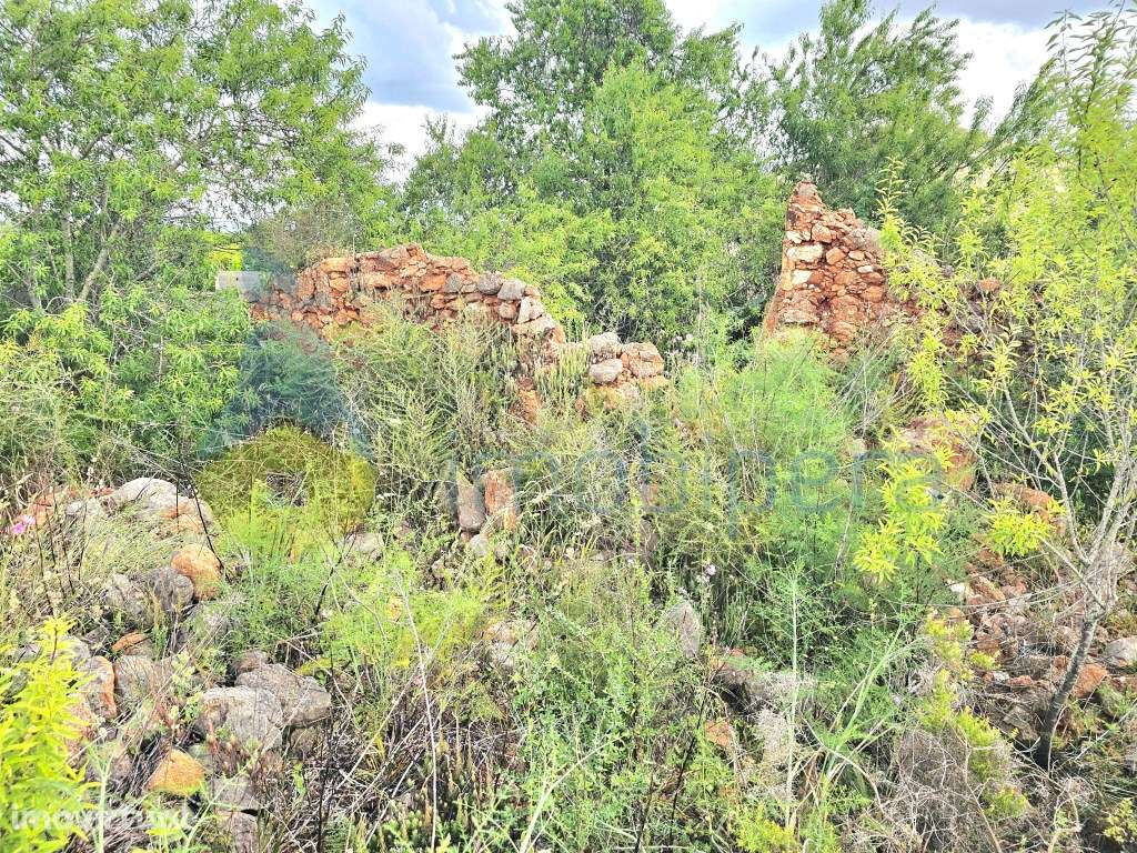 Algarve, Silves, Faxelhas! Terreno de 23.786m2 e Urbano: 120m2. Ime... - Grande imagem: 5/12