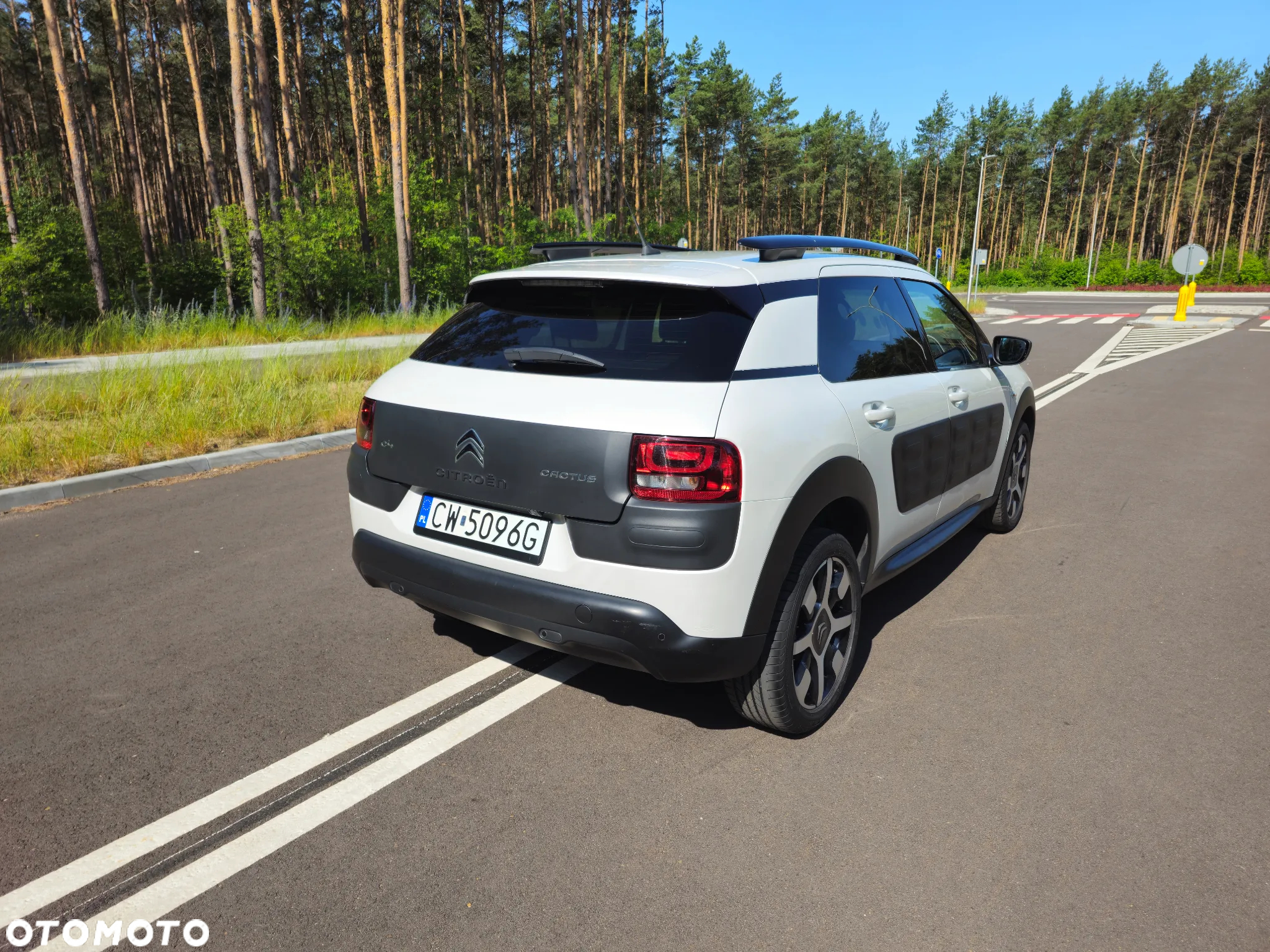 Citroën C4 Cactus 1.6 BlueHDi Shine - 16