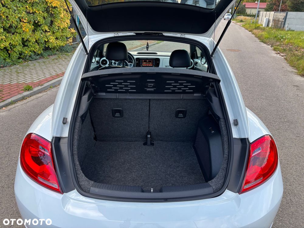 Volkswagen Beetle - 19