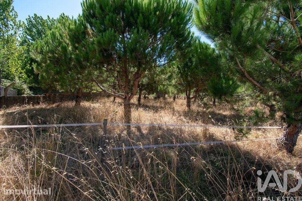 Terreno para construção em Marinha Grande - Grande imagem: 4/5