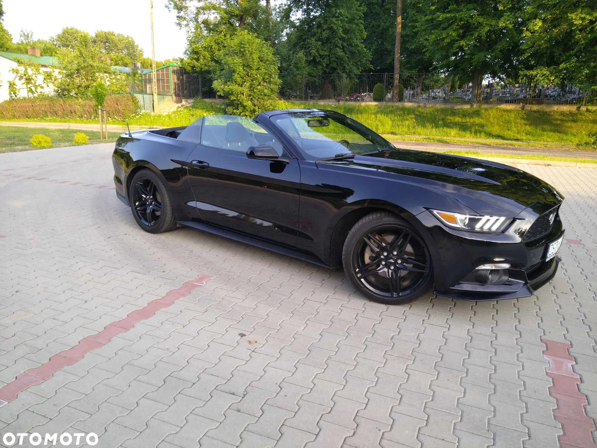 Ford Mustang 3.7 V6 Premium - 25