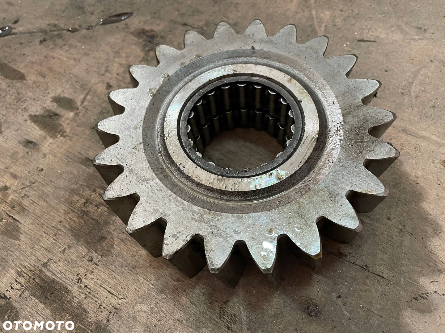 Koło Zębate Zębatka Skrzyni Scania R 1923807 - 5