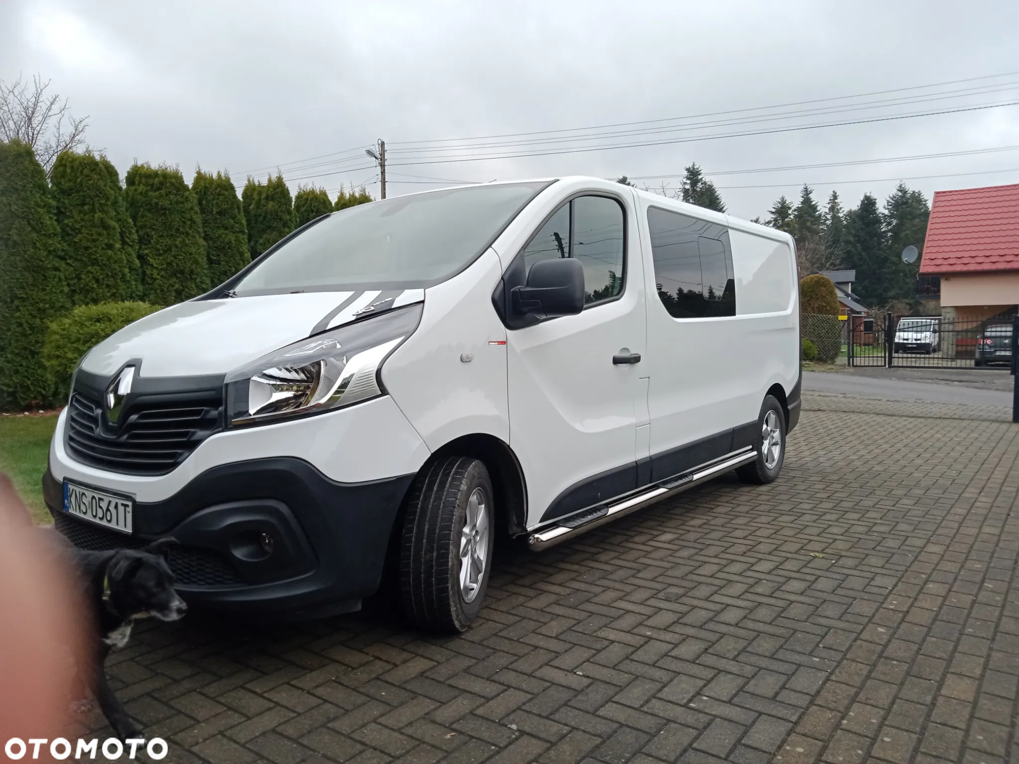 Renault Trafic - 2