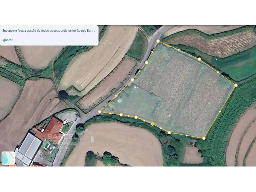 OPORTUNIDADE ÚNICA EM ABORIM, BARCELOS: O TEU REFÚGIO DE 6.000m² - Grande imagem: 4/18