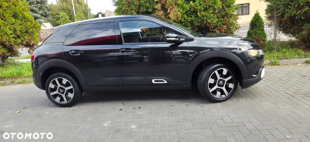 Citroën C4 Cactus PureTech 110 Stop&Start EAT6 Origins - 19