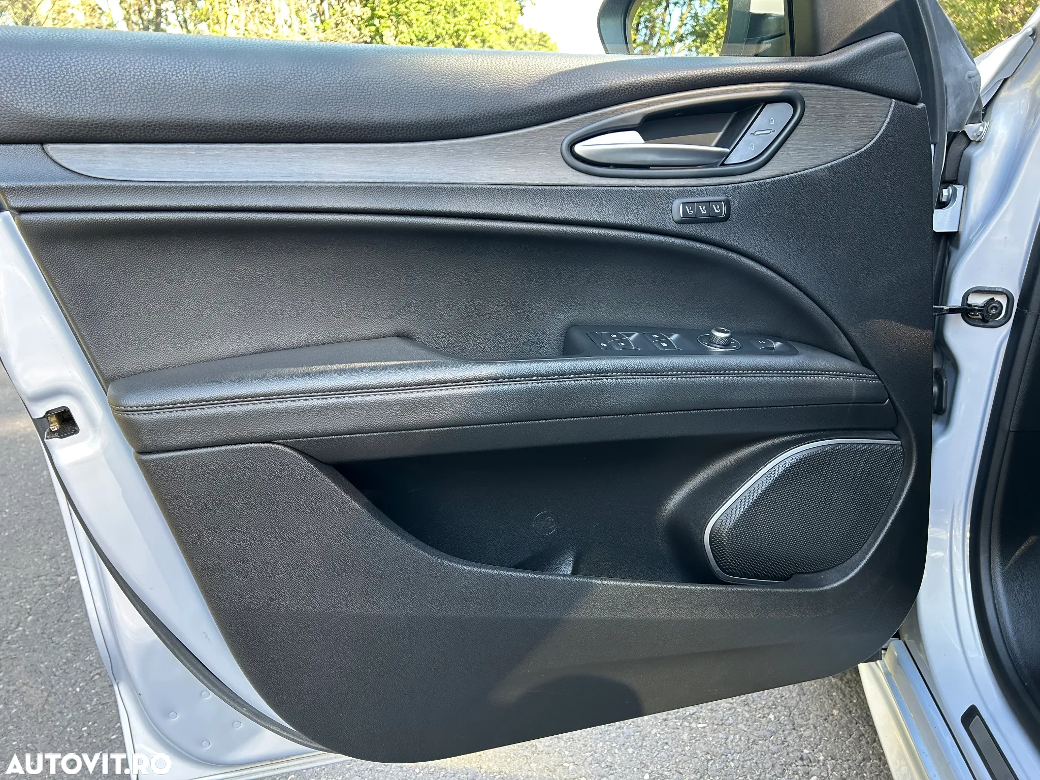 Alfa Romeo Stelvio 2.0 Turbo 16V AT8-Q4 Veloce Ti - 18