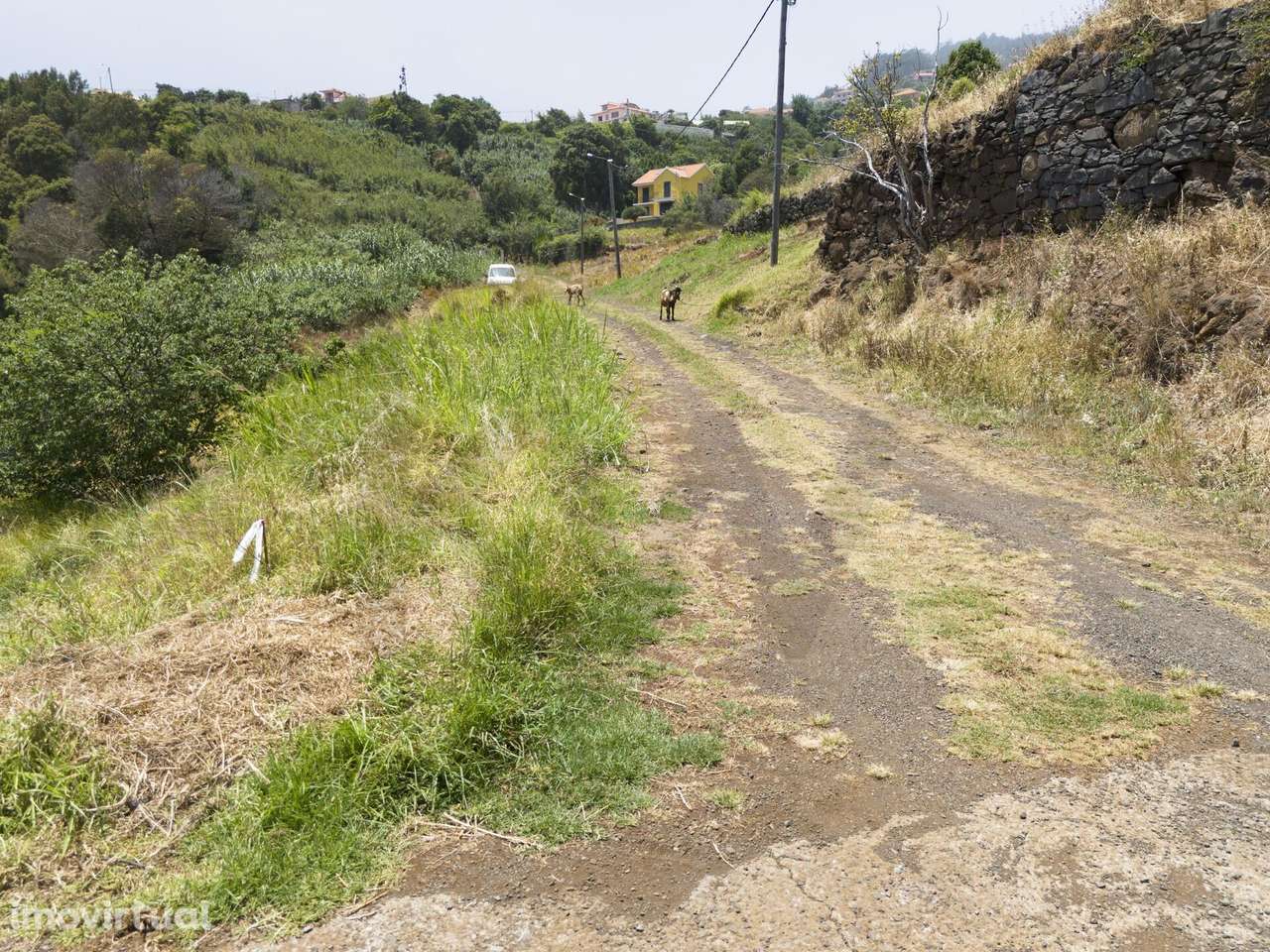 Terreno à venda em Santa Cruz com viabilidade de construção. - Grande imagem: 4/19