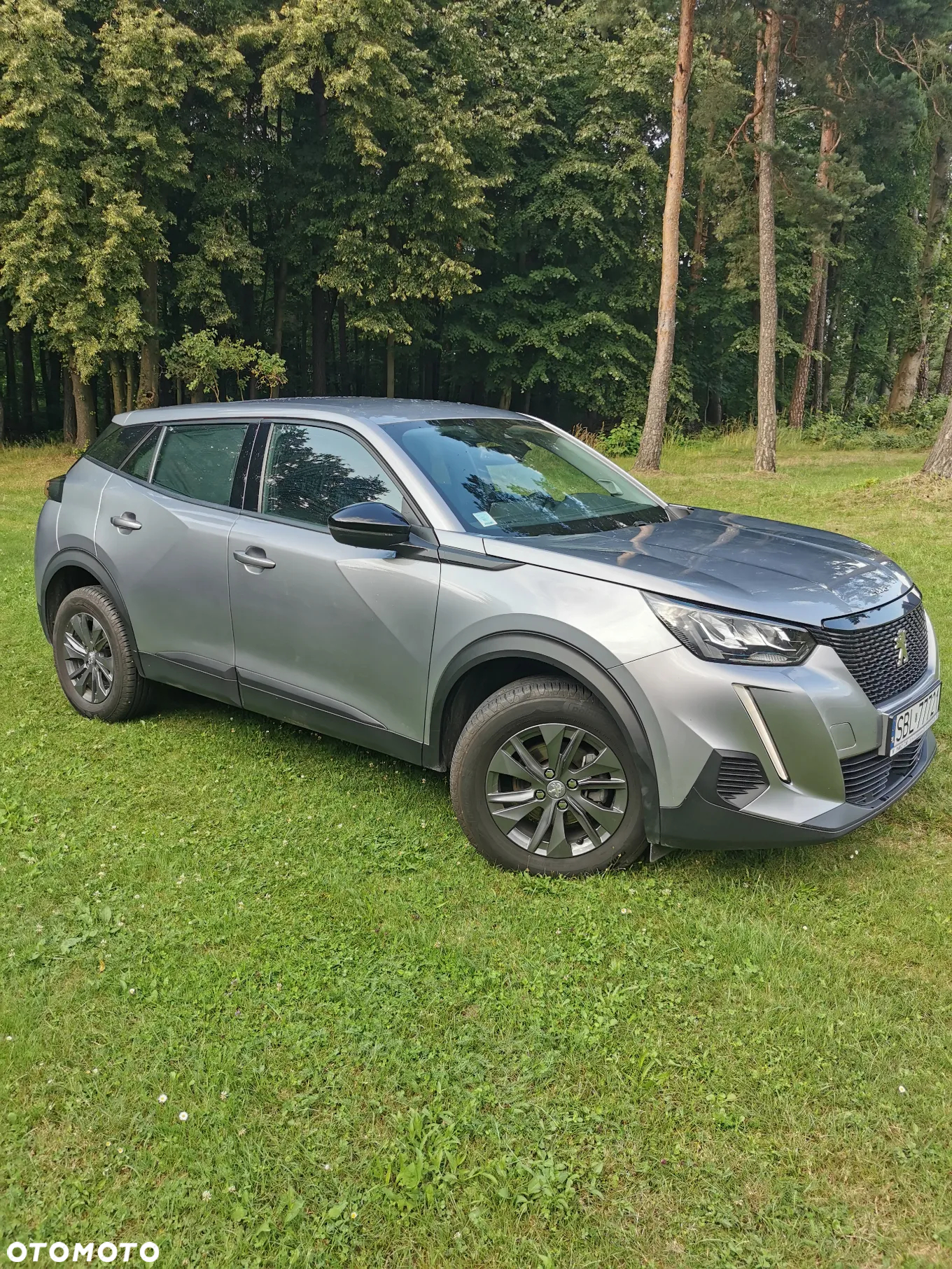 Peugeot 2008 PureTech 100 Active - 8