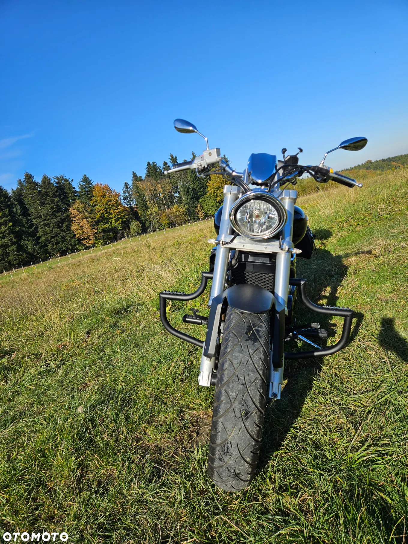 Suzuki Intruder - 21