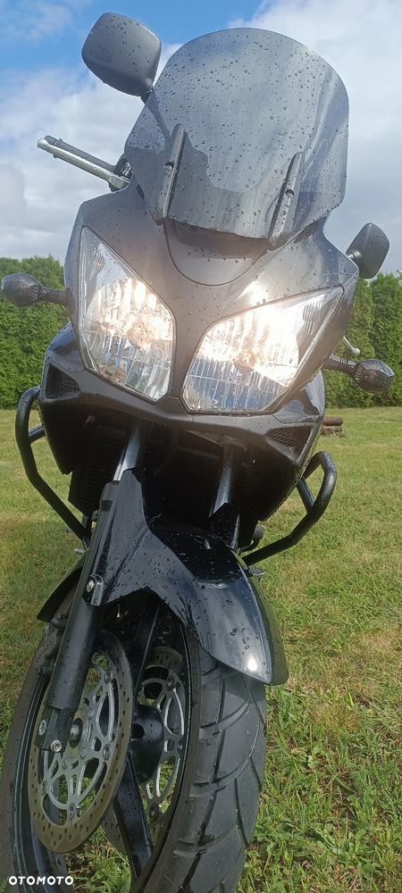Suzuki DL - 6