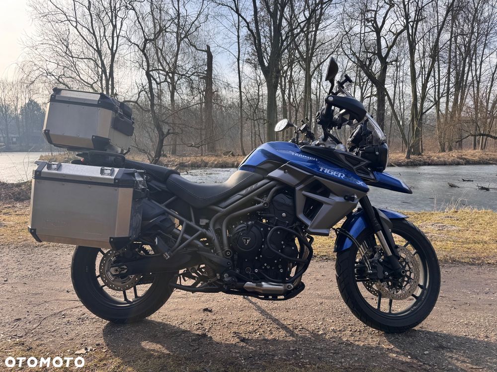 Triumph Tiger - 1