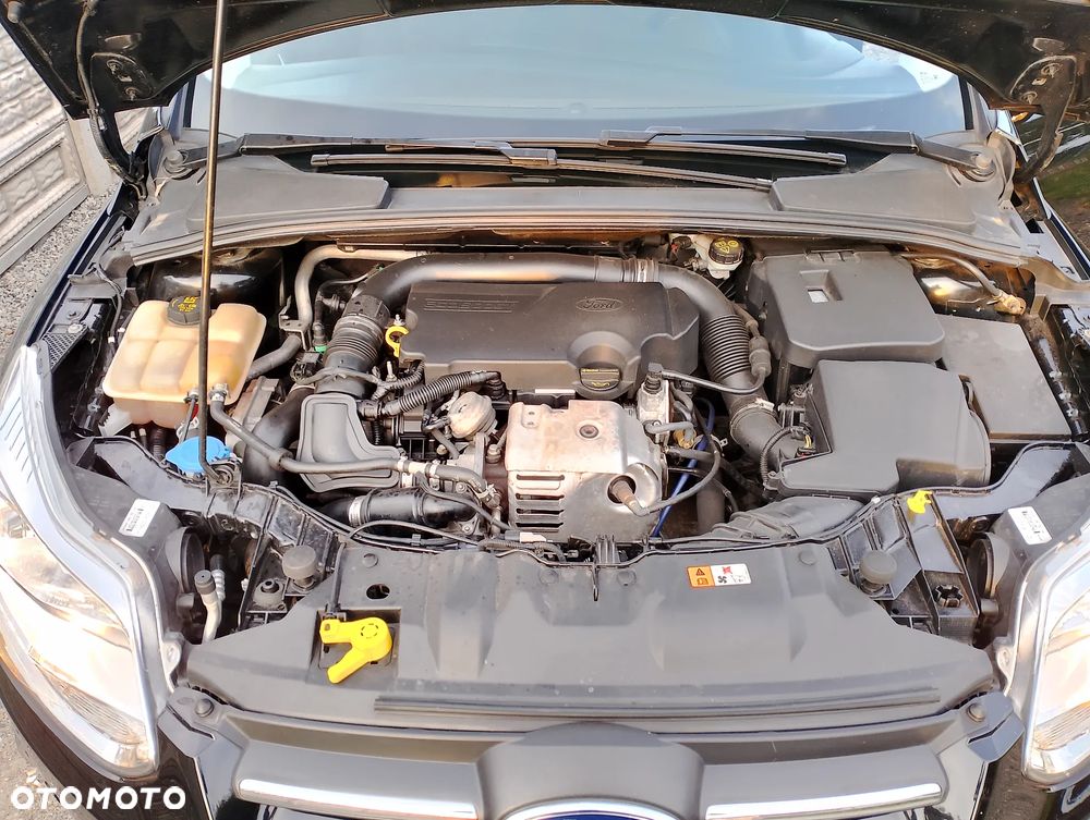 Ford Focus - 26