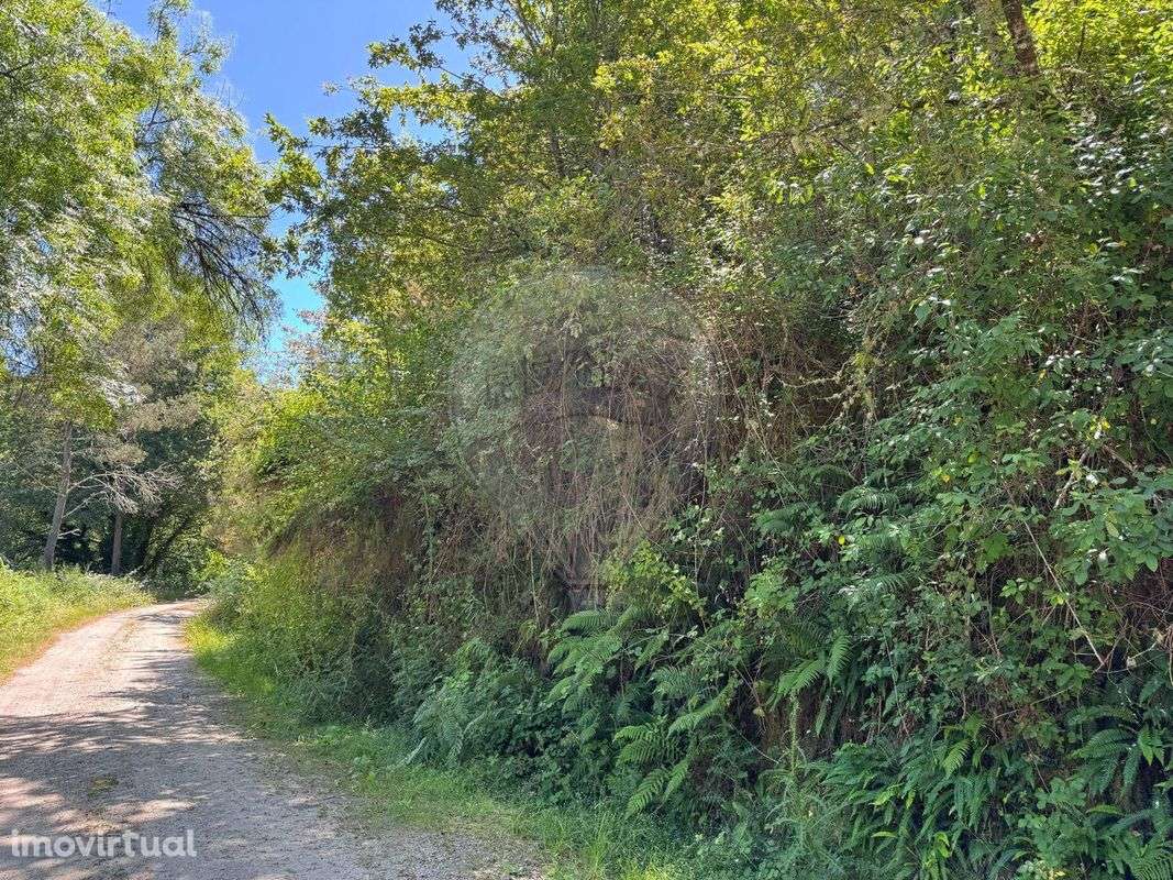 Terreno  para venda - Grande imagem: 3/3