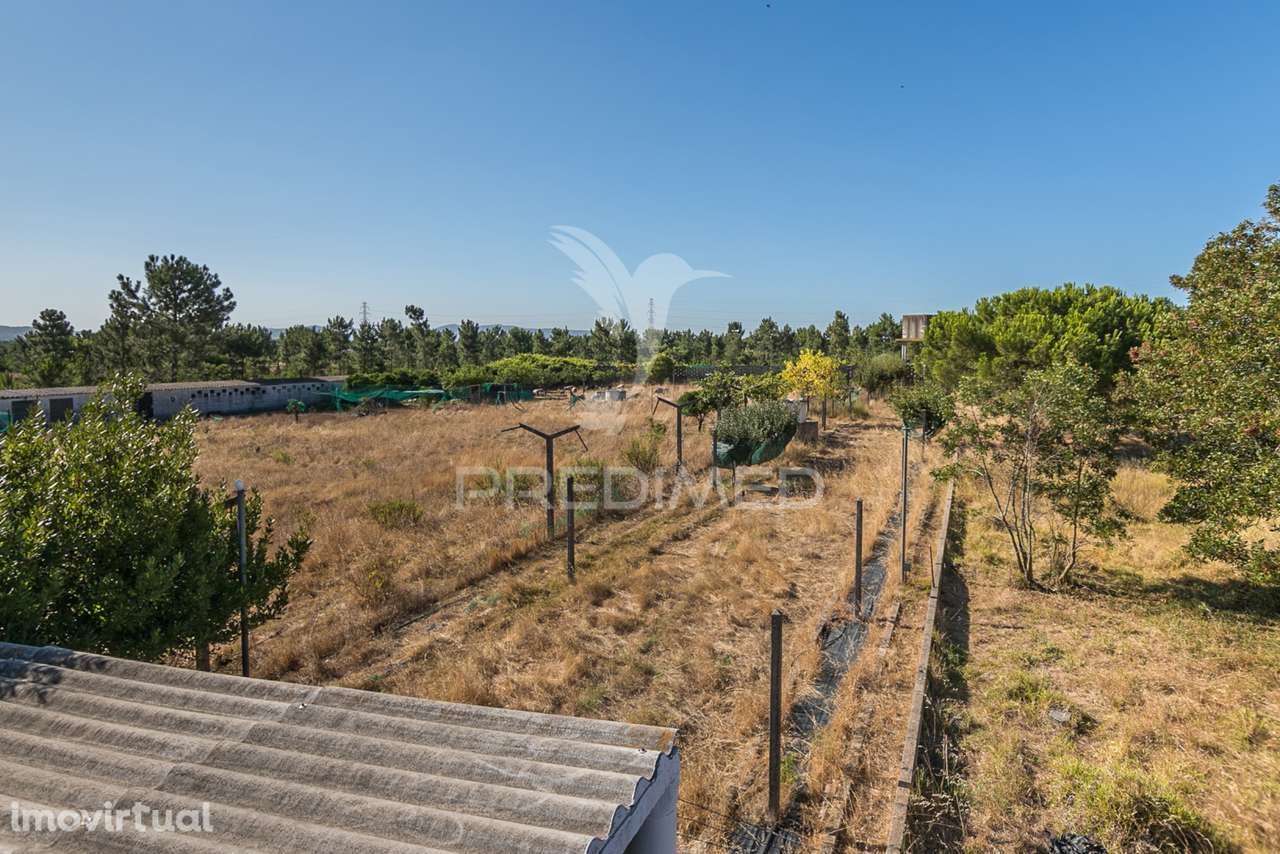 Quinta com viabilidade para construção de moradias - Grande imagem: 3/4