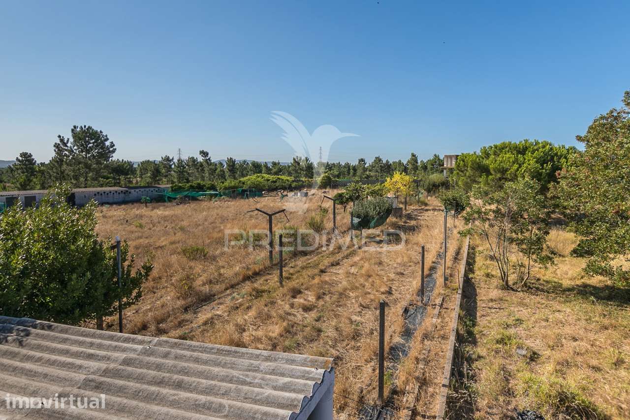 Quinta com viabilidade para construção de moradias - Grande imagem: 3/4