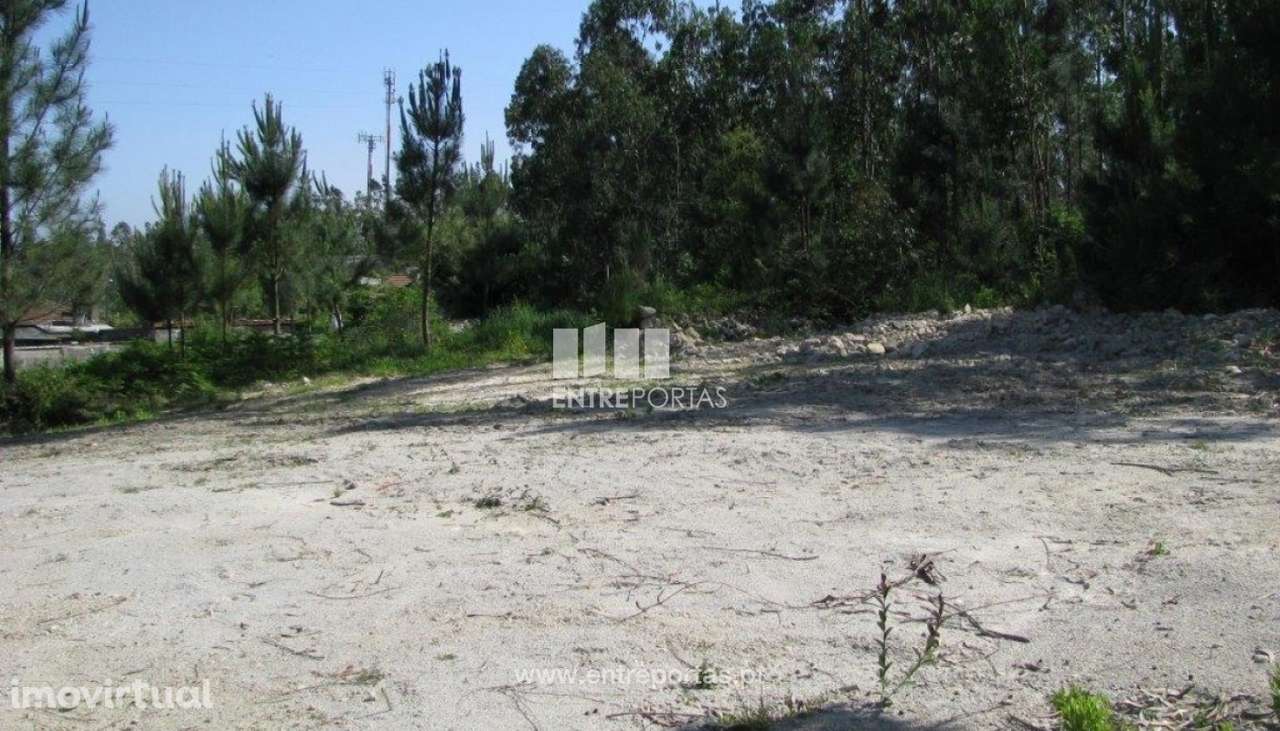 Venda de Terreno com 7800 m2, Bagunte, Vila do Conde - Grande imagem: 5/5