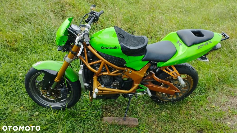 Kawasaki Ninja - 5