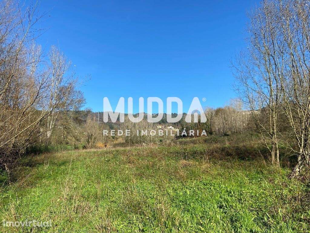 Terreno Plano de 700m2 - Grande imagem: 4/16