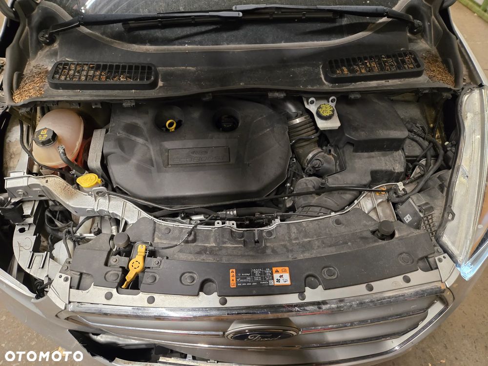 Ford Escape 2.0 EcoBoost AWD Titanium - 9