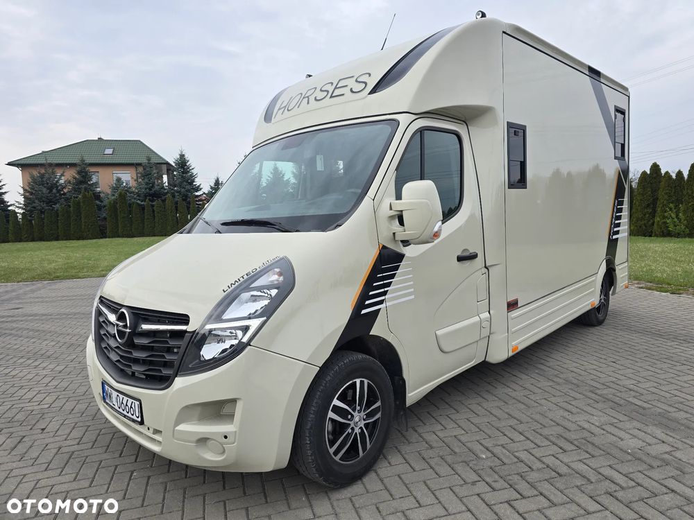 Opel Movano-Koniowóz - 6