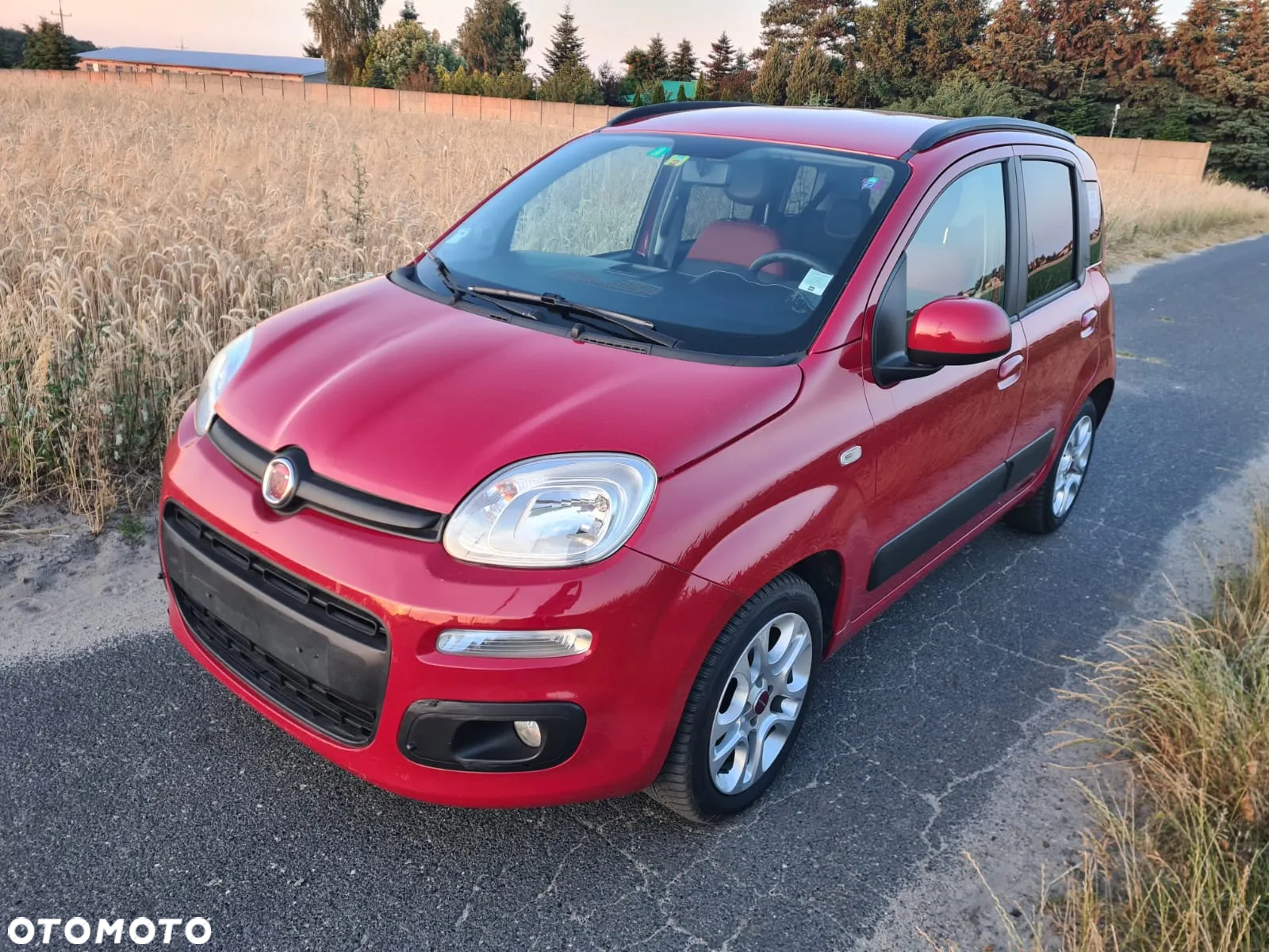 Fiat Panda 1.2 Dynamic - 2