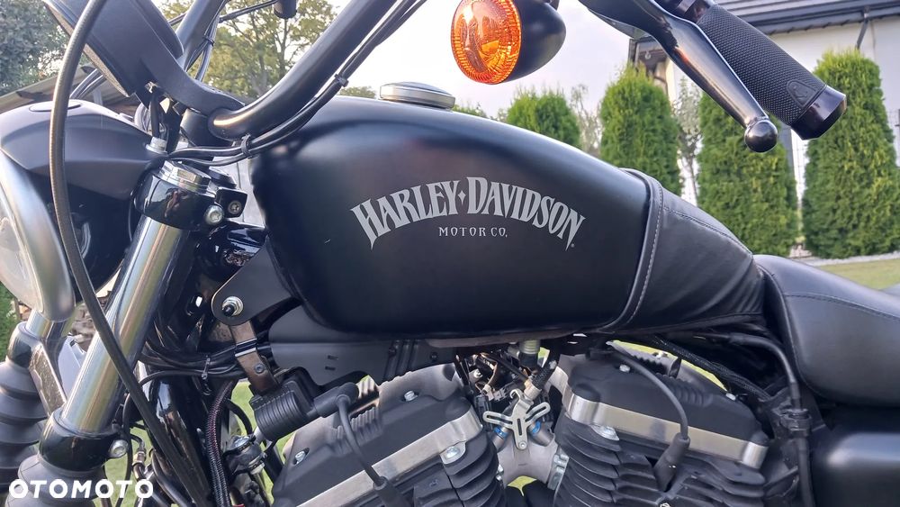 Harley-Davidson Sportster Iron 883 - 6