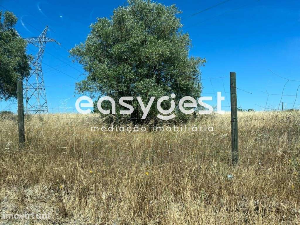 Terreno com viabilidade de construção junto a estrada alcatroada - Grande imagem: 2/13