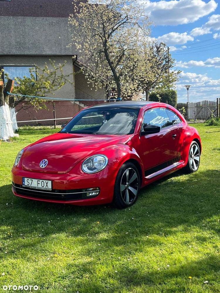 Volkswagen Beetle - 1