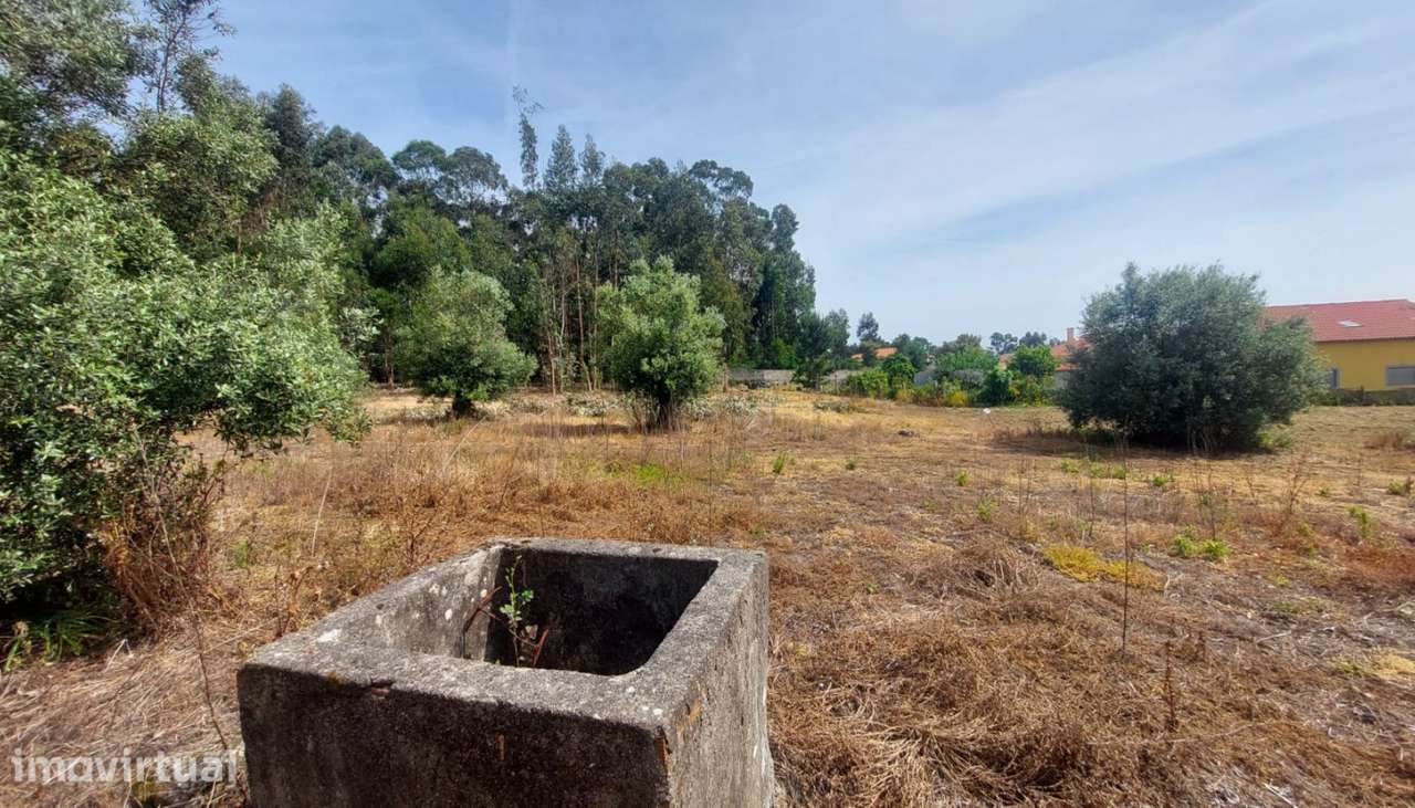 Venda de quintinha para restauro, Cardielos, Viana do Castelo - Grande imagem: 3/20