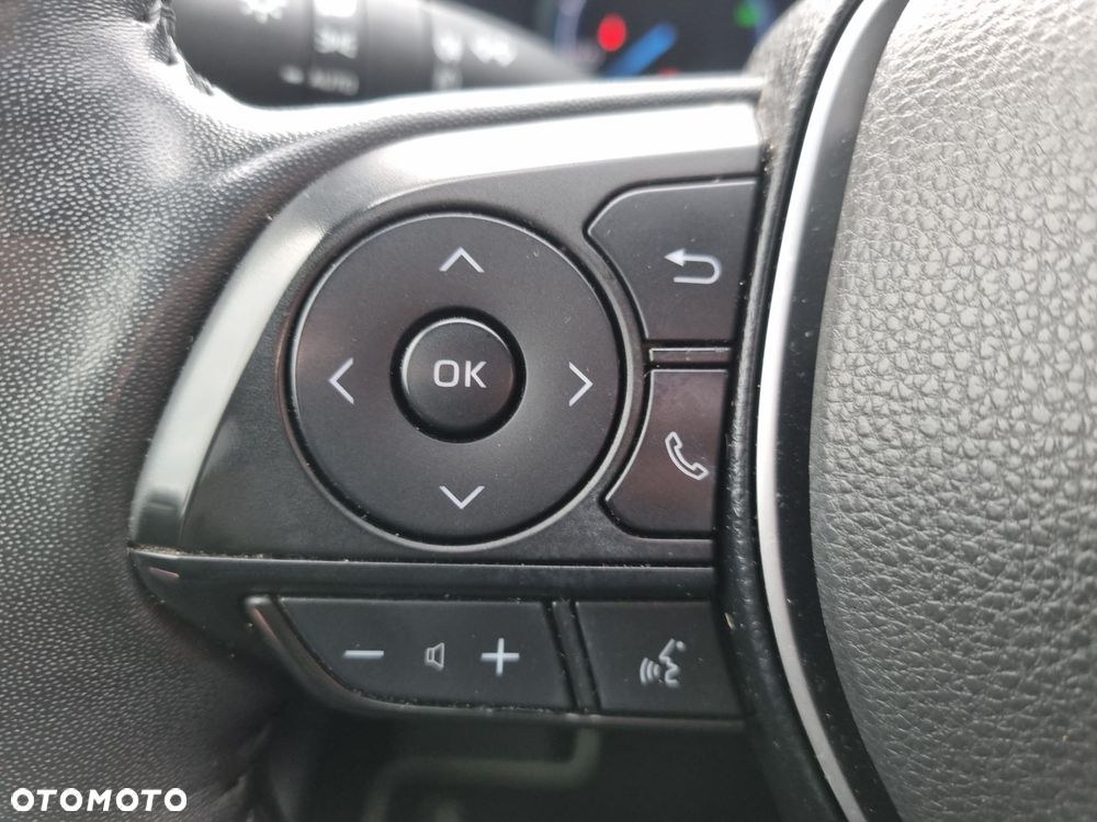 Toyota RAV4 2.5 Hybrid Selection 4x4 - 26