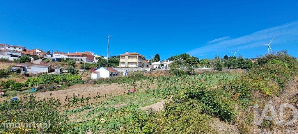 Terreno em Maxial e Monte Redondo de 3080,00 m2 - Grande imagem: 2/29