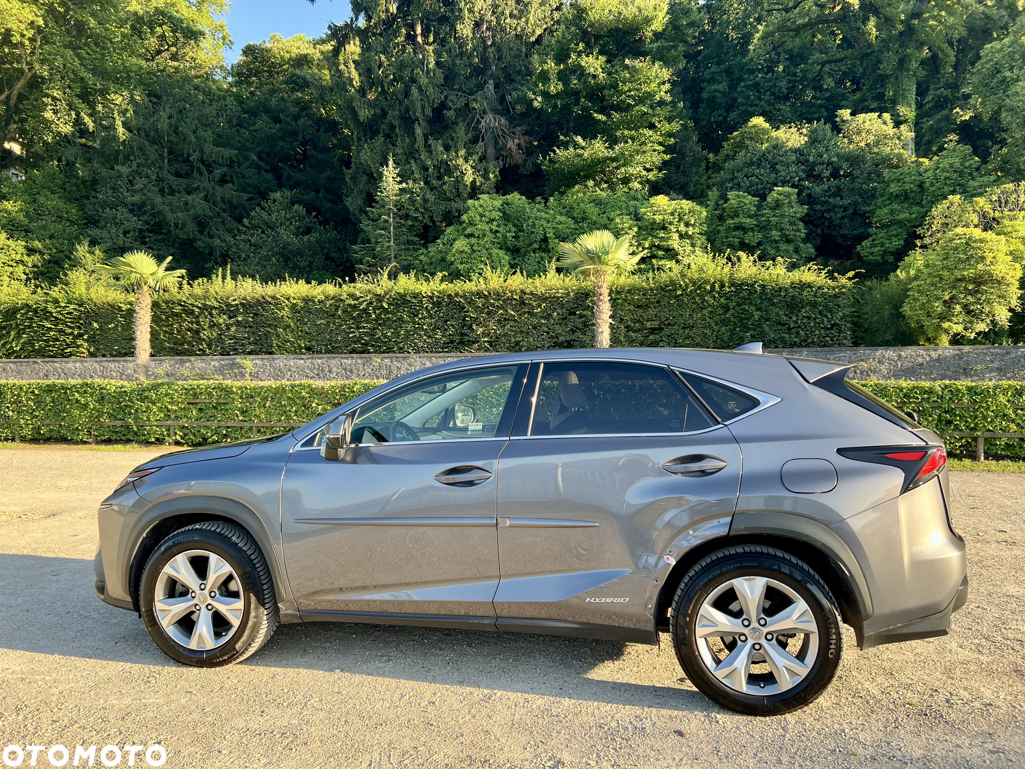 Lexus NX 300h Prestige AWD - 8