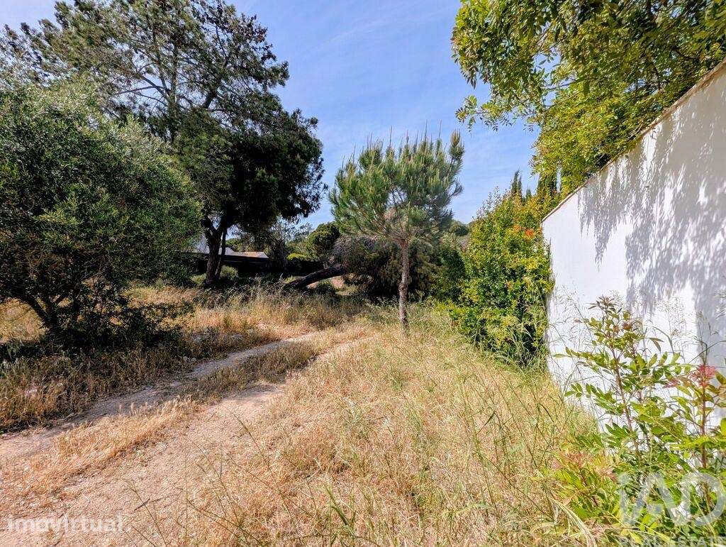 Terreno para construção em Almancil de 805,00 m2 - Grande imagem: 4/7