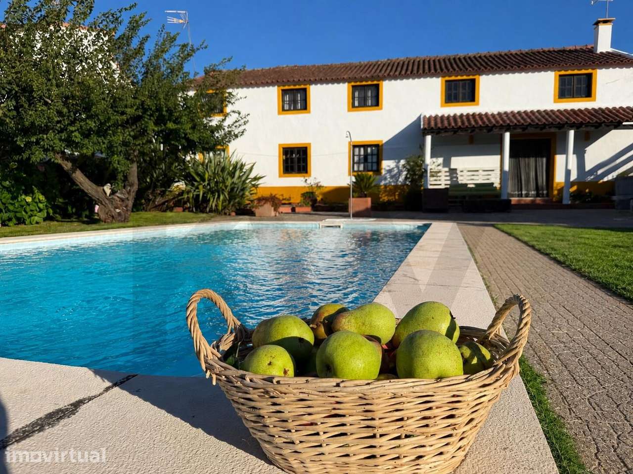 Quintinha de 2160m2 I Casa com 6 quartos+piscina I Painho Cadaval - Grande imagem: 3/60