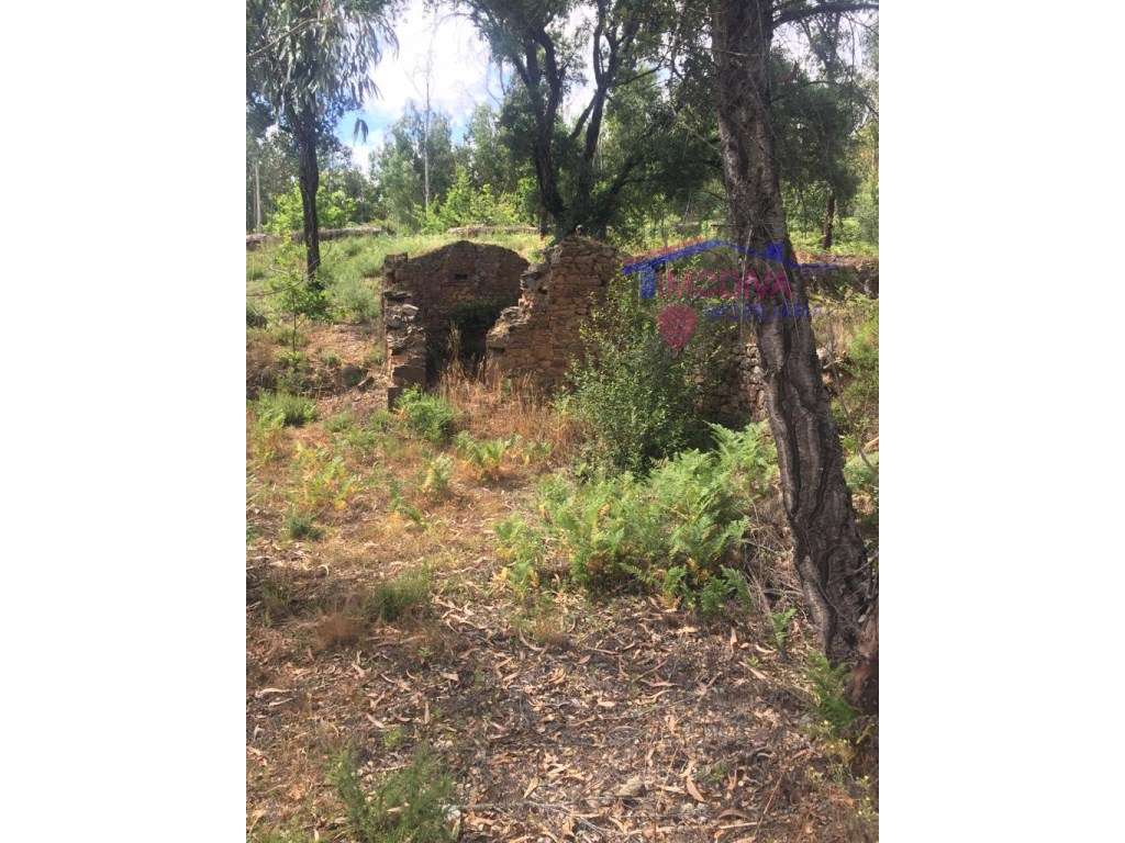 Casa de campo para reconstruir - Grande imagem: 5/18