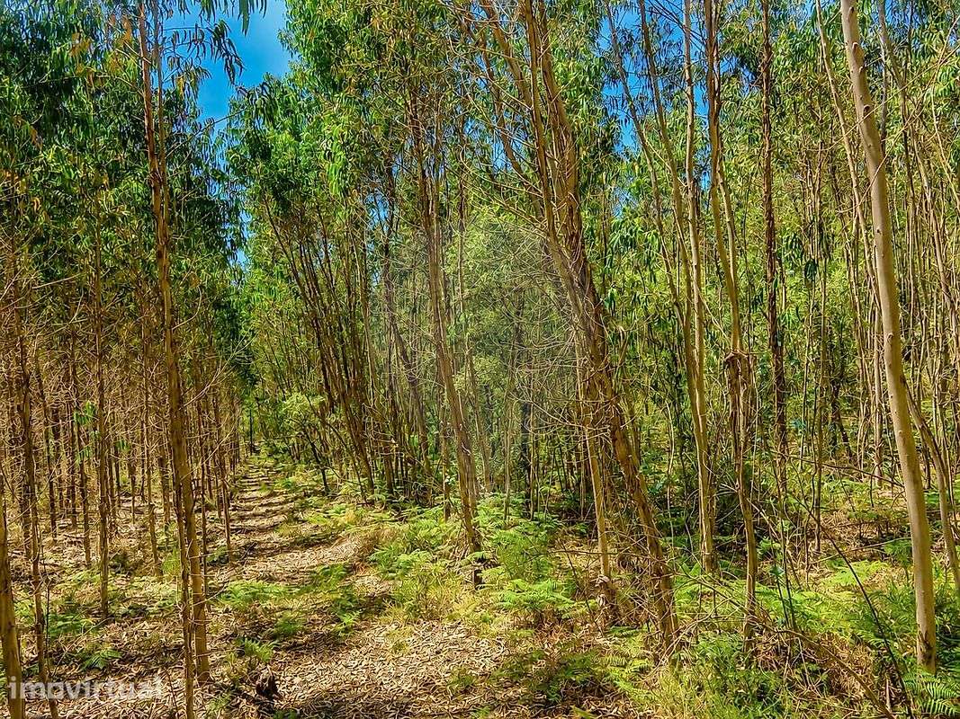 Terreno  para venda - Grande imagem: 4/10