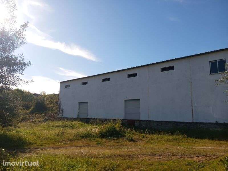 Armazém Ansião 300m2 - Grande imagem: 5/5