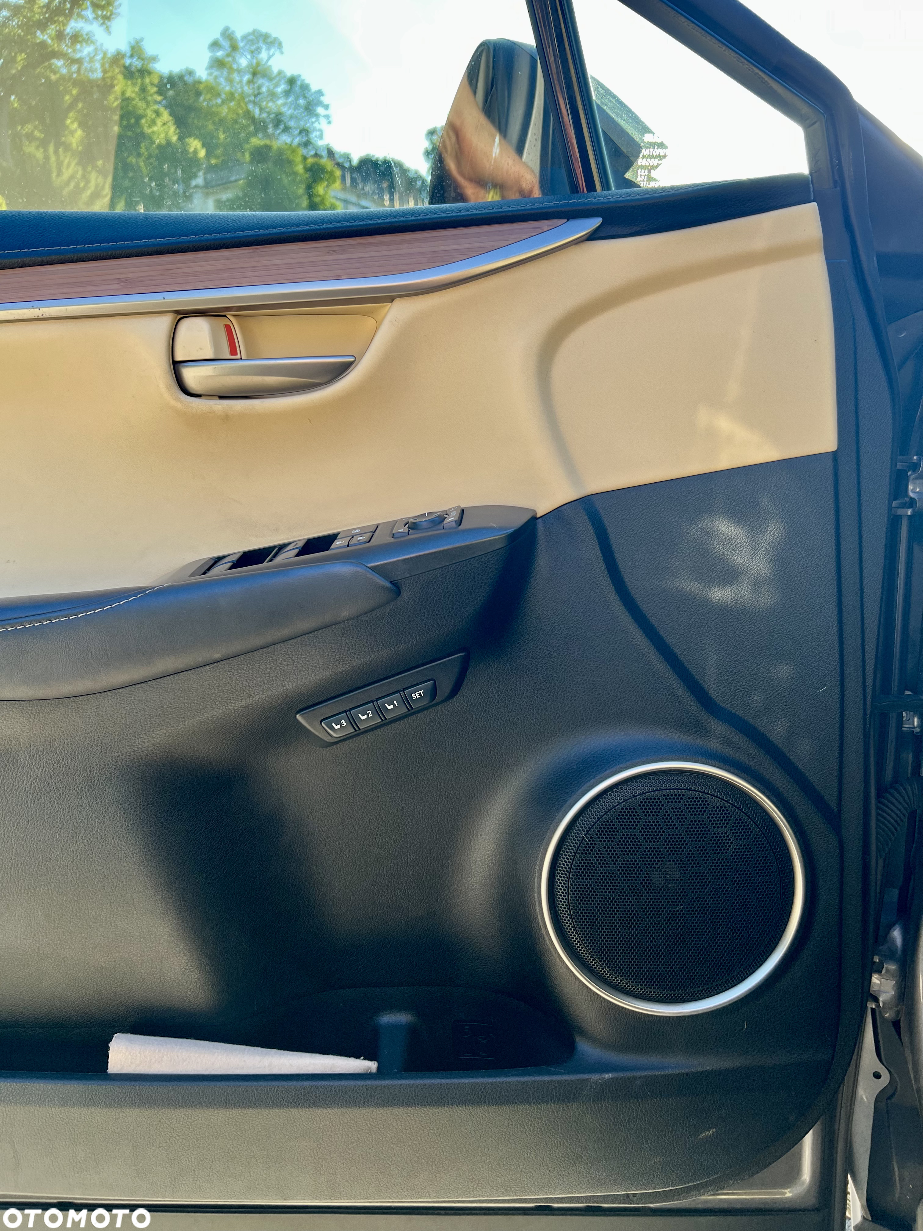 Lexus NX 300h Prestige AWD - 22