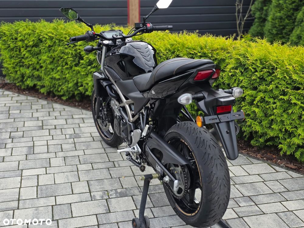 Suzuki SV - 18