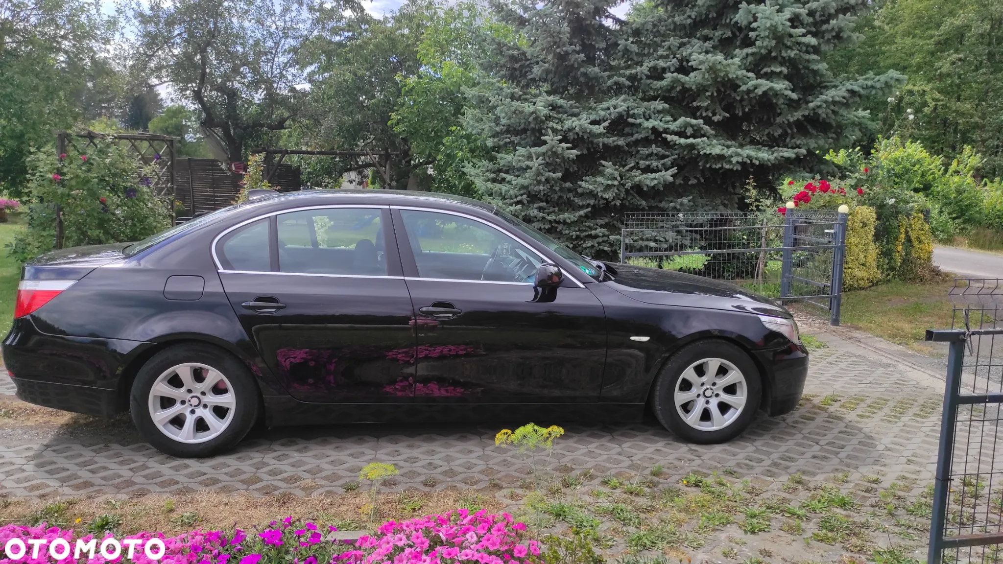 BMW Seria 5 520d - 12