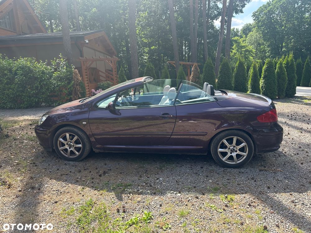 Peugeot 307 CC 2.0 - 5