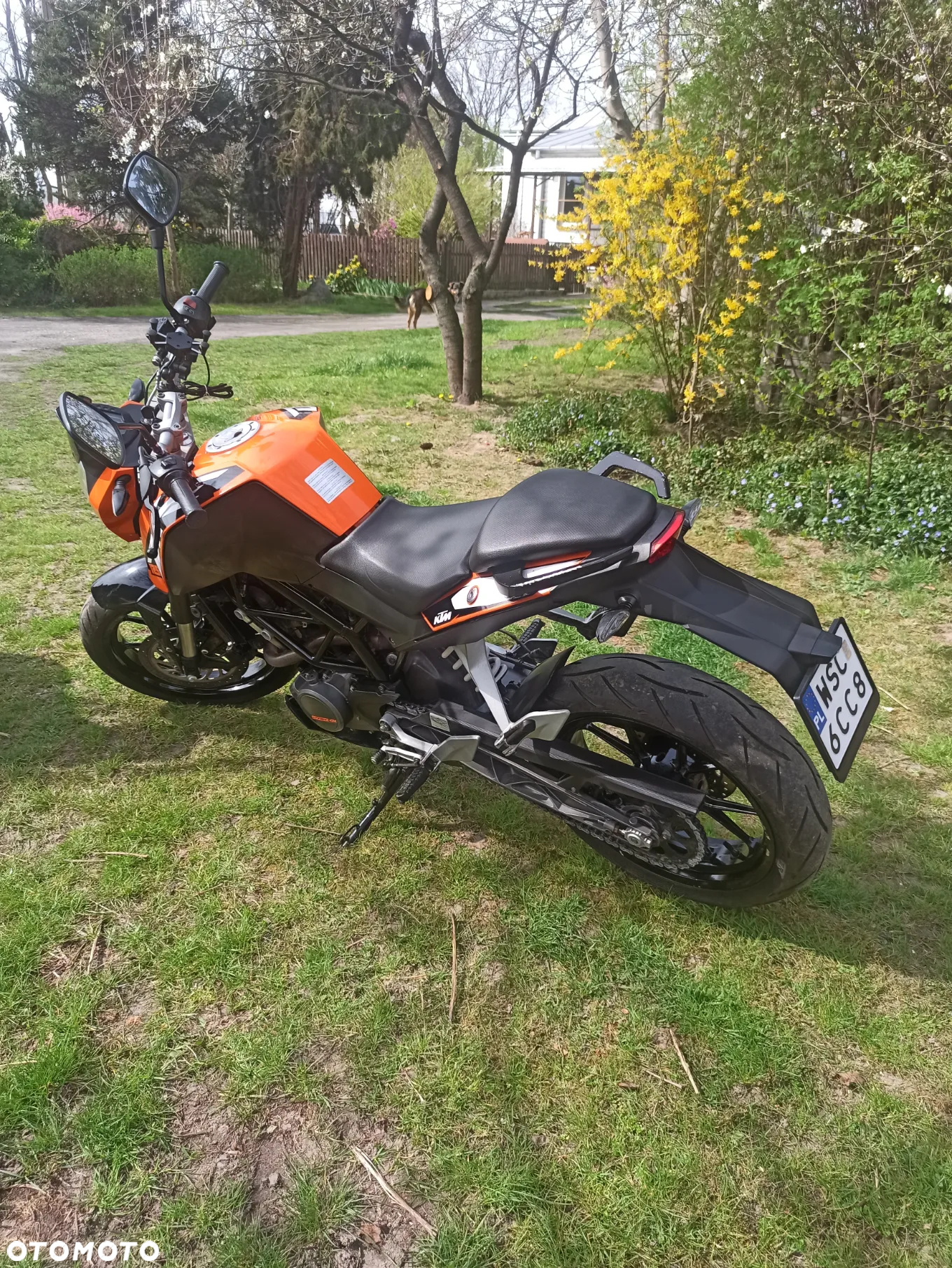 KTM Duke - 8