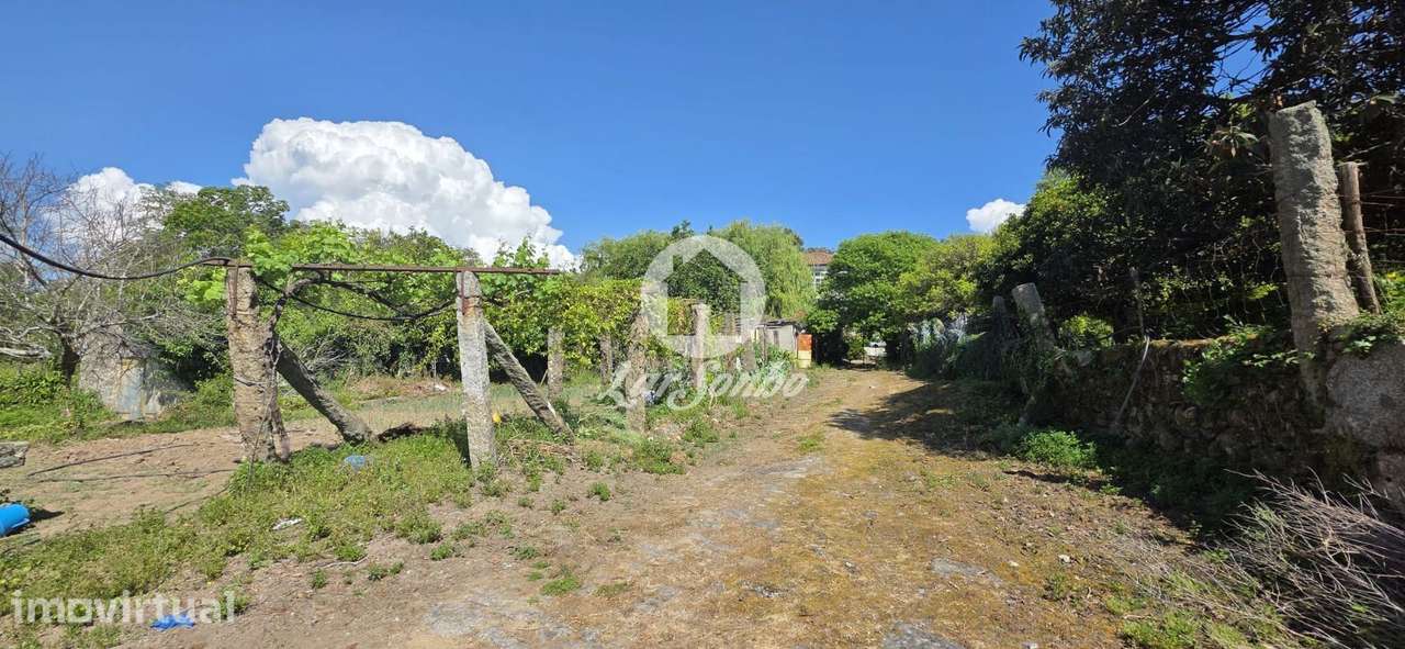 Quinta século XIX com vinhas e bosque em Castelo de Neiva, Viana do... - Grande imagem: 4/28