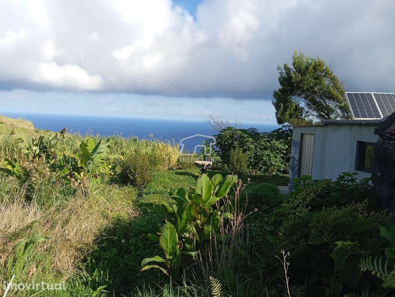 5002 m2  Frente Única de Mar- Porto Moniz - Grande imagem: 4/29